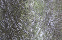 Grumbla fibreglass roof work